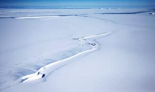 Iceberg Twice The Size of London Split From Antartic, Adrift in Weddell Sea