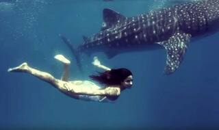 Katrina Kaif shares old memories of swimming with whale on World Oceans Day (Watch Video)