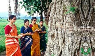 Vat Purnima Vrat 2017 date and puja vidhi: Significance of Vat Savitri fasting and Savitri-Satyavan Katha in Hindi