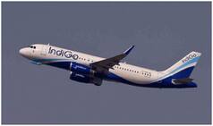 Chennai-Doha IndiGo Flight Suffers Bird Hit; Passengers Shifted to Another Flight