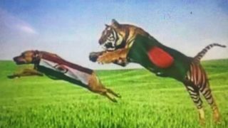 India vs Bangladesh semi-final match dubbed as ‘Dog vs Tiger’ in ICC Champions Trophy 2017 by Bangladesh fan!