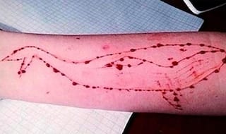 Blue Whale Suicide Challenge: After Teenager Suicide Maharashtra CM Devendra Fadanvis Terms Game 'Dangerous'