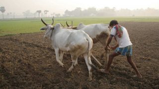 No Drought Like Situation In Country, Clarifies Ministry of Agriculture, Deficit Rainfall Reported in 95 Districts