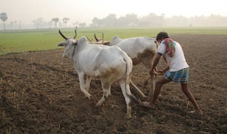 किसानों के लिए मोदी सरकार का बड़ा फैसला, धान के लिए MSP में की भारी बढ़ोत्तरी