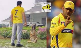 MS Dhoni to be Chennai Super Kings Captain in IPL 11? Instagrammed Picture Wearing Yellow Jersey With 'Thala' Written Strongly Hints So