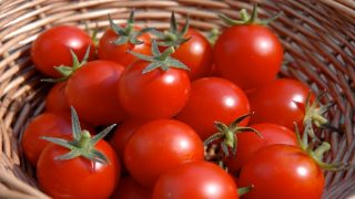 Shortage of Supply Soars Tomato Prices to Over Rs 90 Per kg in 17 Major Cities