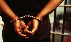 Pune: Nine Men Arrested For Carrying 4 Tonnes of Beef
