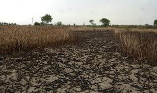 Monsoon in Denial Mode! Maharashtra Farmers File Complaint Against IMD for Wrong Rain Forecast, Demand CM Devendra Fadnavis' Intervention