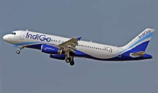 'Am I Carrying a Bomb': IndiGo Airlines Offloads Kerala Man After he Protests
