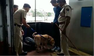 Madhya Pradesh: Bomb Scare at Itarsi Railway Station; Search Operations Underway