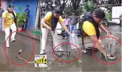 King Cobra Trapped Inside Plastic Jar By Brave Girl! Watch Video of Snake's Face Off to be Mesmerised