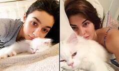 Alia Bhatt, Jacqueline Fernandez, Sunny Leone And More Bollywood Celebs' Pics With Their Cats Will Turn Your Heart Into Mush This International Cat Day