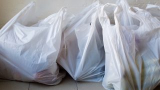 Plastic Ban: Greater Hyderabad Municipal Corporation to Spread Awareness on Ill-Effects of Plastic
