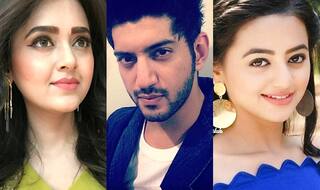 Ganesh Chaturthi 2017: Tejasswi Prakash, Kunal Jaisingh, Helly Shah Pledge To Celebrate An Eco-Friendly Festival