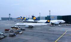 Germany: Tear Gas Attack Leaves Several Injured at Frankfurt Airport