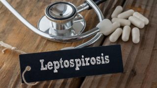 Leptospirosis: What You Need to Know About This Deadly Disease