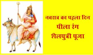 Chaitra Navratri 2019 : नवरात्रि में इन रंगों से चमकेगी किस्‍मत, जानें किस देवी को पसंद है कौन सा रंग...