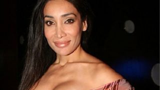 Big Boss Fame Sofia Hayat Hospitalised After Meeting With An Accident-Read Details