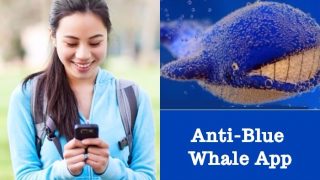 Blue Whale Tasks Lists : Latest News, Videos and Photos on Blue Whale