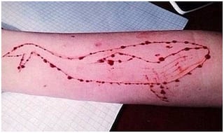 Assam: College Student Jumps Off Building as Part of Blue Whale Challenge