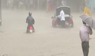 Mumbai Rains: Traffic Advisory to Avoid Jams