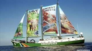 Rainbow Warrior To Visit India on October 26, All You Need To Know