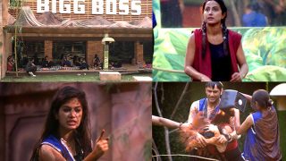 Bigg Boss 11 24 October 2017 Full Episode Written Update: Akash Dadlani, Puneesh Sharma And Bandgi Kalra Lash Out At Hina Khan During The Luxury Budget Task