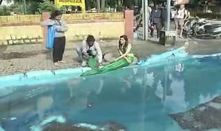 Bengaluru: Artist Turns Pothole Into Mermaid Pond to Protest Recent Deaths