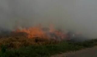 Firecrackers Banned in Delhi NCR But Farmers Continue to Burn Stubble Before Diwali