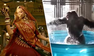 Padmavati's Song Ghoomar's Gorilla Dance Version is the Funniest Thing You Will See on the Internet Today