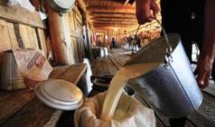 Milk Production in India up by 18.81% in 2016-17