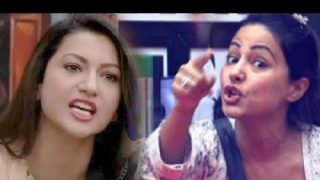 Bigg Boss 11 : Gauahar Khan Gives It Back To Hina Khan For Comments On Fan Following And Sakshi Tanwar