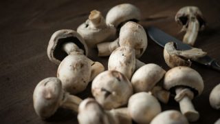 Mushroom is The Best Source of Antioxidants, Reveals Study