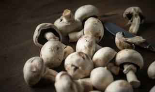Mushrooms Are the Best Food to Fight Aging! Here   s Why