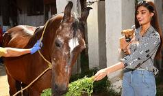 Athiya Shetty Treats Herself A Day Out With Animals Ahead Of Her Birthday - View Pics