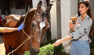 Athiya Shetty Treats Herself A Day Out With Animals Ahead Of Her Birthday - View Pics