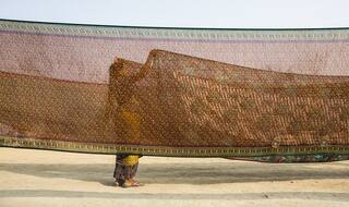 न्यूयॉर्क टाइम्स ने साड़ी को हिंदू राष्ट्रवाद से जोड़ा, जमकर हो रही किरकिरी