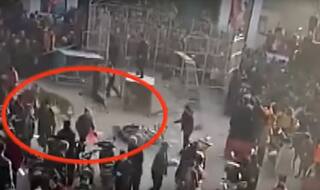 Tiger Breaks Circus Cage, Injures Two Children