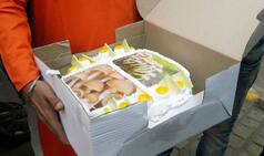 BJP Celebrates Its Win in Gujarat Elections With Mushroom Cake, Takes Jibe at Alpesh Thakor's Comment on PM Modi
