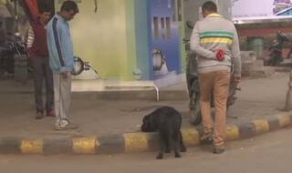 Searches on at Delhi's Khan Market After Bomb Threat