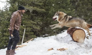 Salman Khan's Tiger Zinda Hai All Set To Break Aamir Khan's PK Record As It Earns Rs 337.35 Crore In 38 Days