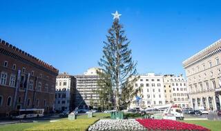 Christmas Tree in Rome Dubbed as 'Toilet Brush' on Social Media For its Poor Condition