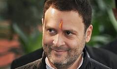 No Formal Request Received For Rahul Gandhi's Visit to Kailash Mansarovar Yatra: MEA
