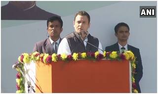 Rahul Gandhi is Congress's New Boss; Twitter Reacts