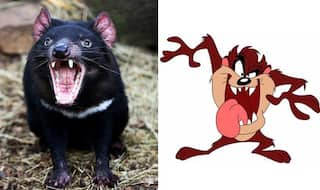 Man Sues Father-in-Law For Terrorizing Him With Warner Bros. Cartoon Character