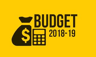 Budget 2018: Fruit Juices, Vegetables to Get Costlier; No Change in Petrol, Diesel Prices