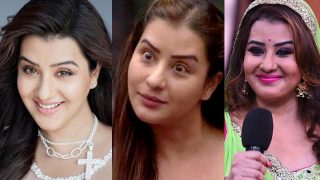 Bhabhi Latest News Videos And Photos On Bhabhi India Com News
