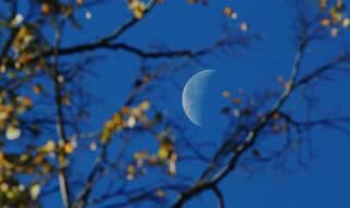 Rare Blue Blood Moon to Grace Skies on January 31