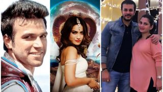 Rithvik Dhanjani Quits Super Dancer 2, Naagin 3 Cast Revealed, Jay Soni To Become A Father - Television Week In Review