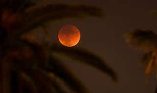 Super Blue Blood Moon 2018: Know Total Lunar Eclipse Timings in Indian Cities